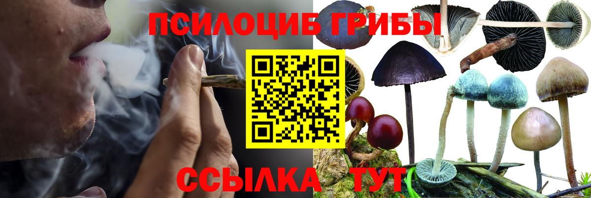 Галлюциногенные грибы мицелий Ижевск